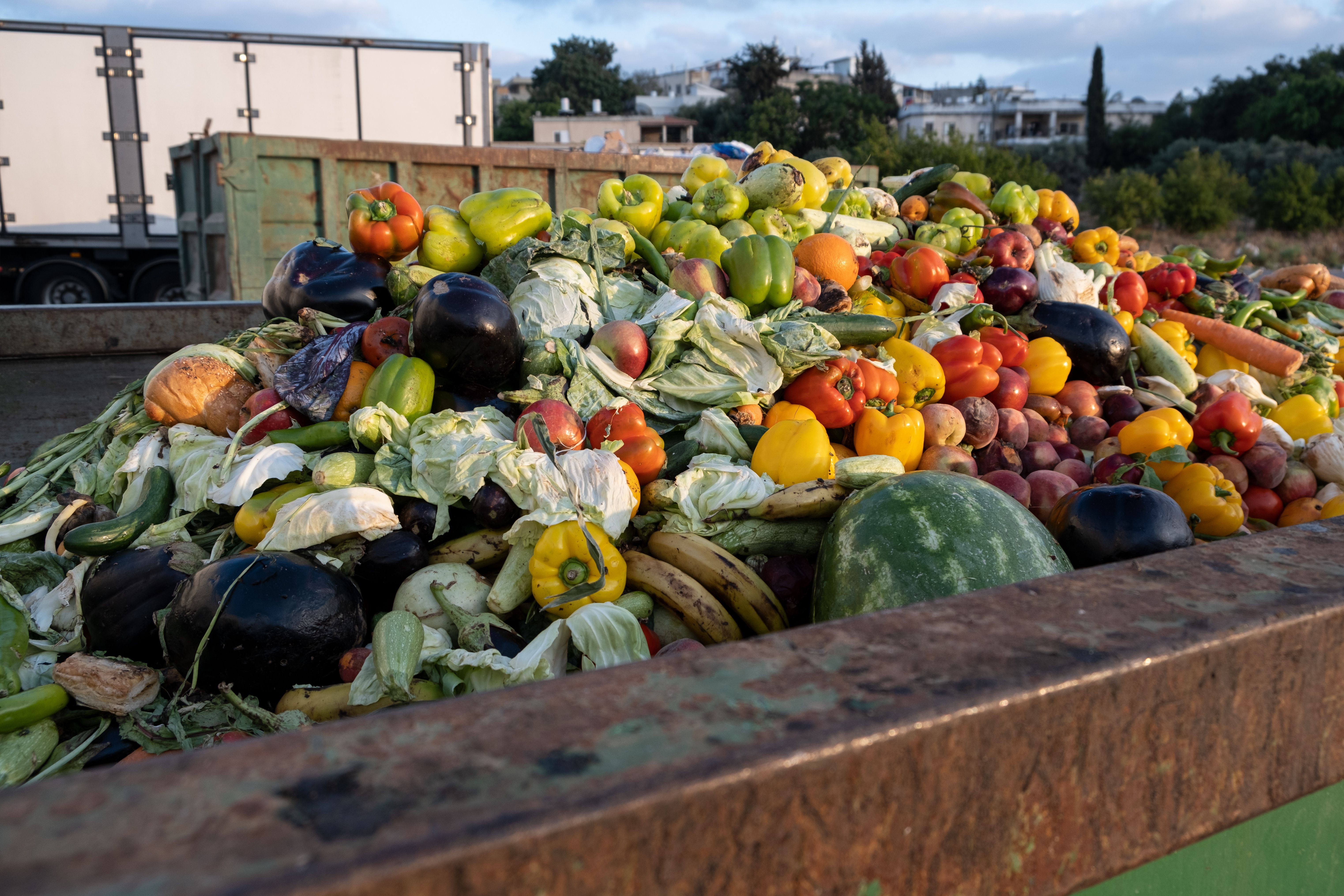 A pile of vegebles in a dumpster. 
