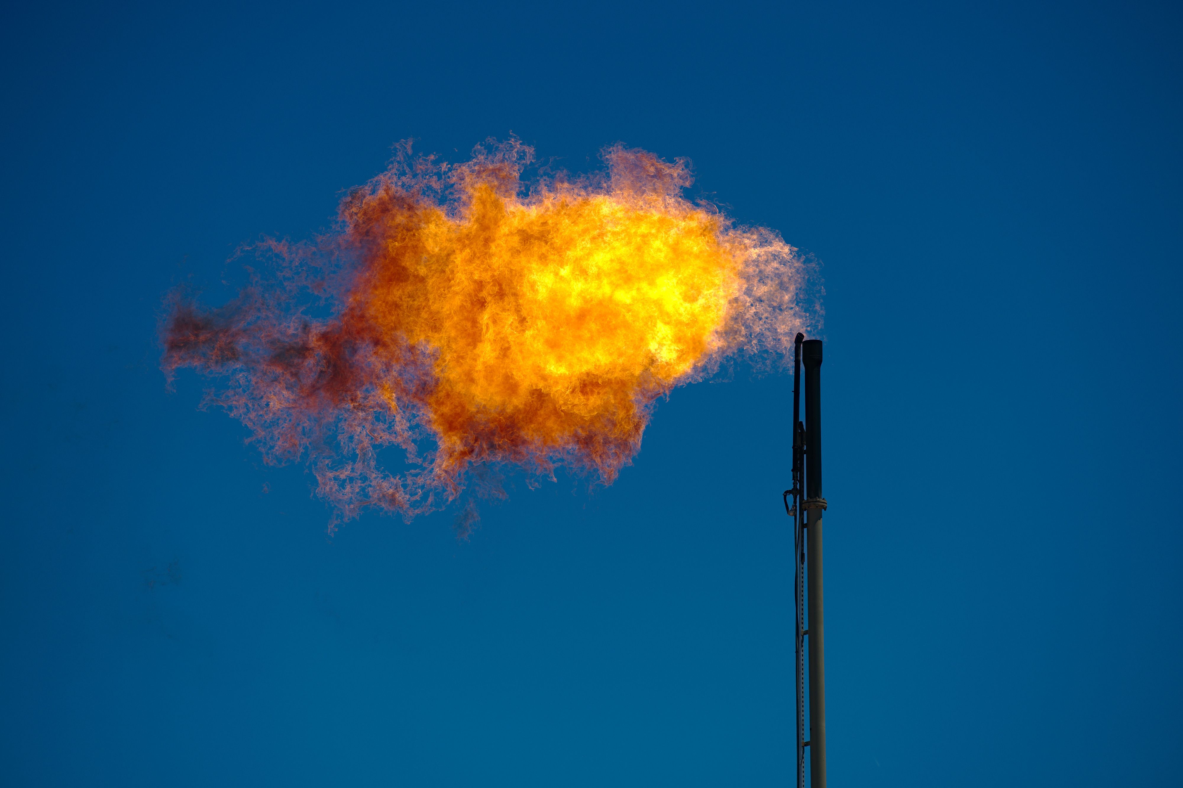 Natural gas flowing out of a dark, vertical pipe is flared, creating flames.